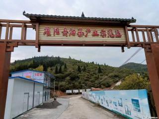 【灌阳县油茶产业示范区】一个有着充实的精神生活的人,对待身外之物自会有一种淡泊的态度 - 濮阳28生活网 puyang.28life.com