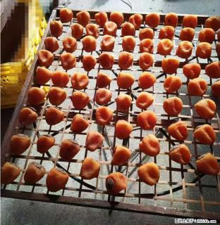 广西桂林平乐桥亭【柿饼之乡】2025年纯手工制作、无任何添加剂的第一批柿饼准备上市了，欢迎联系订购！ - 濮阳28生活网 puyang.28life.com