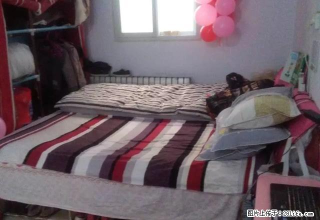 铁三局一室一厨一卫 30平方精装修 - 房屋出租 - 房屋租售 - 濮阳分类信息 - 濮阳28生活网 puyang.28life.com