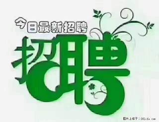 上海青浦区招仓管 - 濮阳28生活网 puyang.28life.com