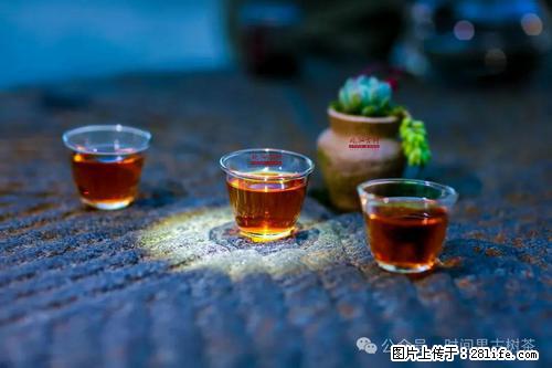 时间果百年古树2025年春红茶 - 购物交流 - 濮阳生活社区 - 濮阳28生活网 puyang.28life.com