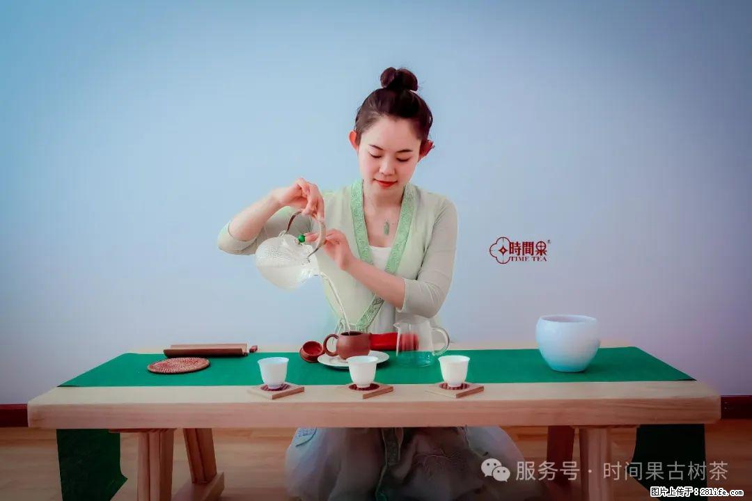 时间果百年古树龙珠普洱生茶 - 购物交流 - 濮阳生活社区 - 濮阳28生活网 puyang.28life.com