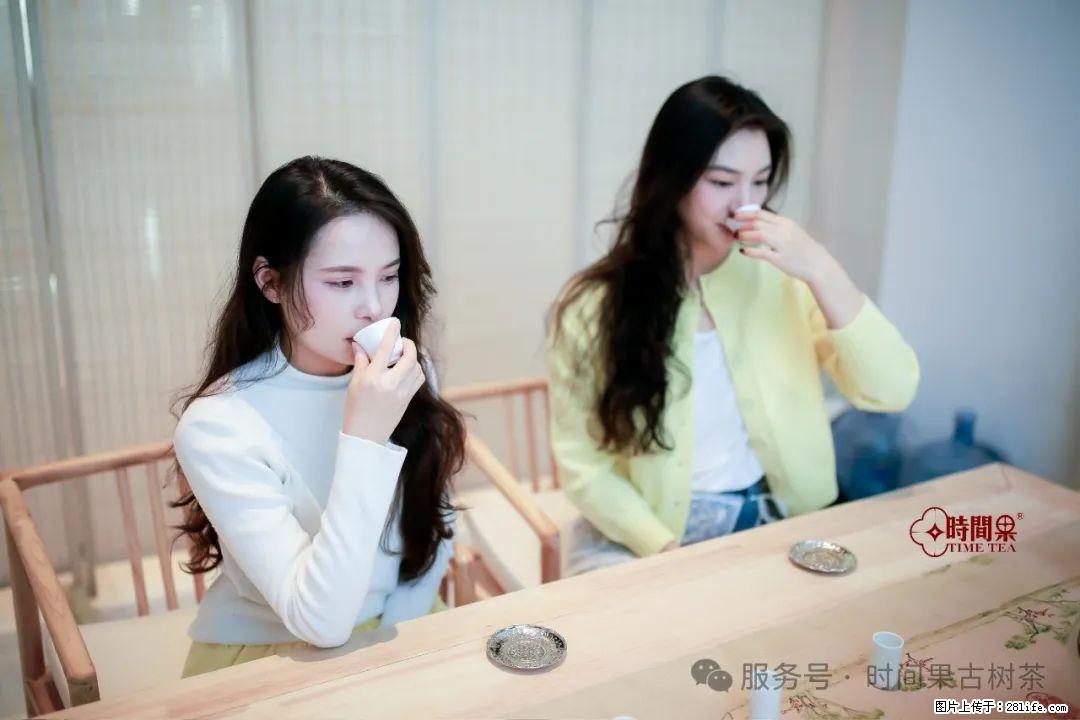 时间果百年古树龙珠普洱生茶 - 购物交流 - 濮阳生活社区 - 濮阳28生活网 puyang.28life.com