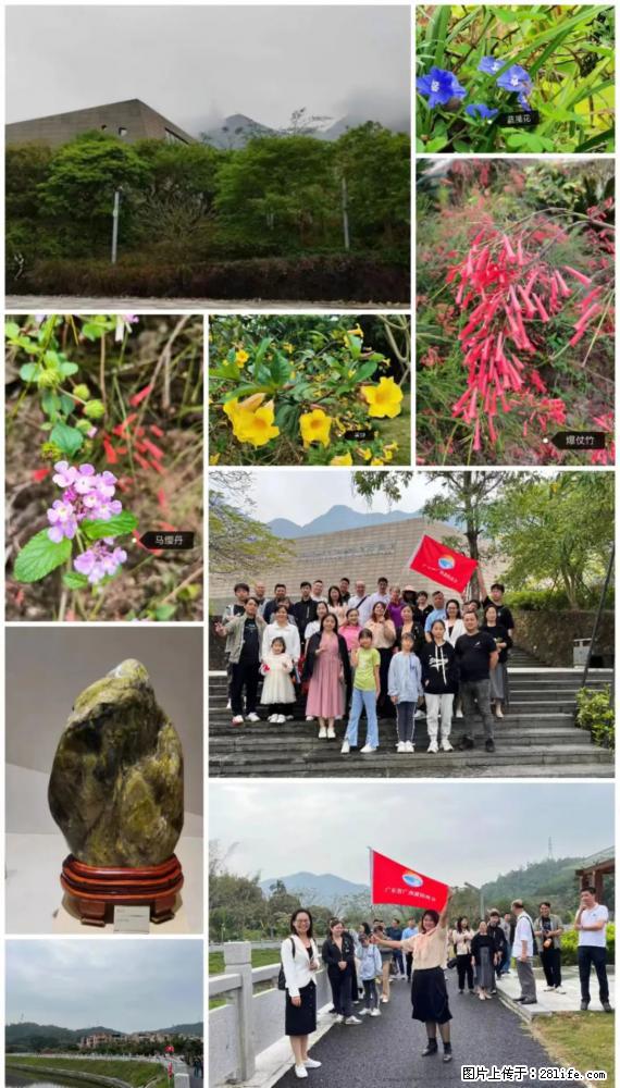 “粤灌文化 美好生活”油茶文化主题活动在广东深圳成功举办 - 濮阳生活资讯 - 濮阳28生活网 puyang.28life.com