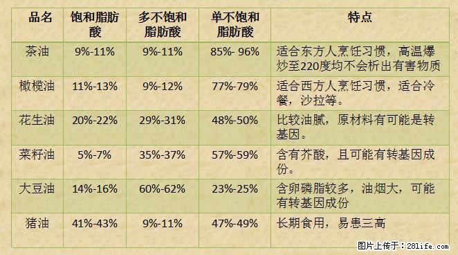 揭秘茶油的5大核心营养成分!被称为人体健康的“守护盾”! - 濮阳生活资讯 - 濮阳28生活网 puyang.28life.com