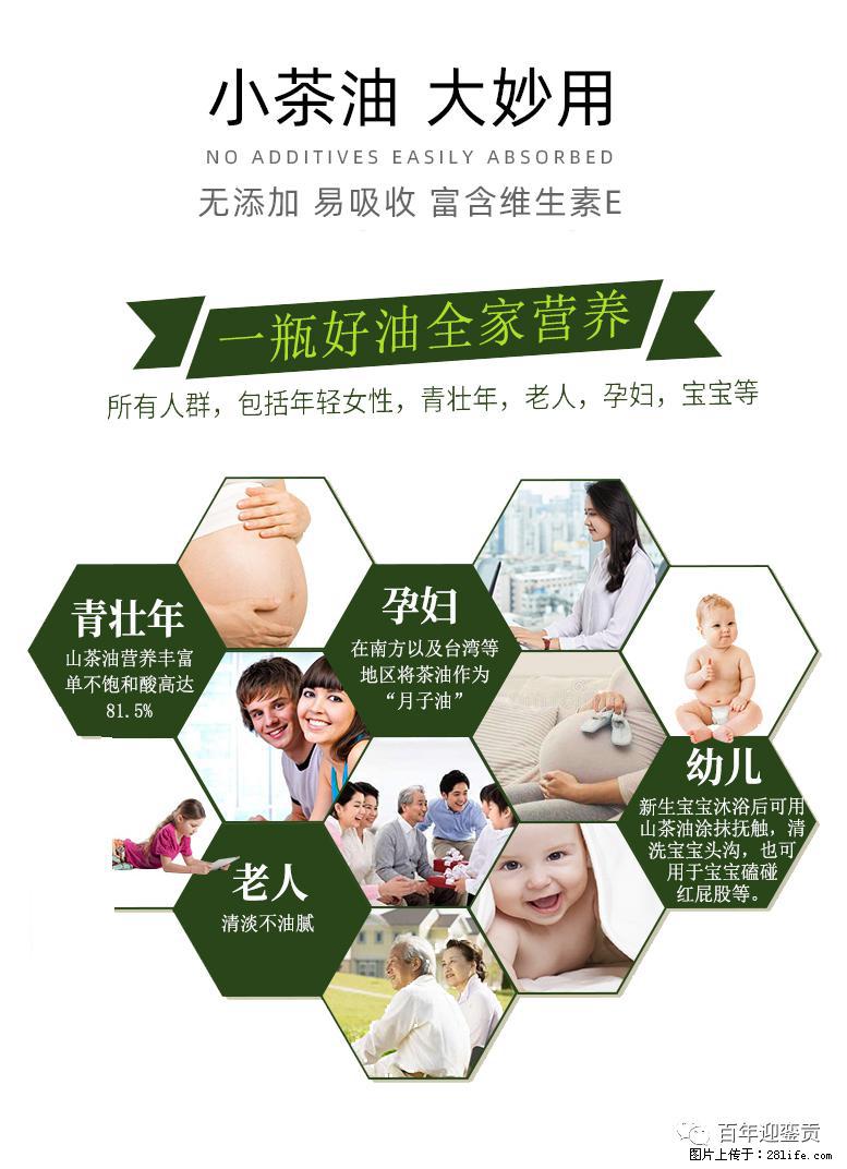 世界没有真相,只有认知,最好的食用油是中国的山茶油! - 濮阳生活资讯 - 濮阳28生活网 puyang.28life.com