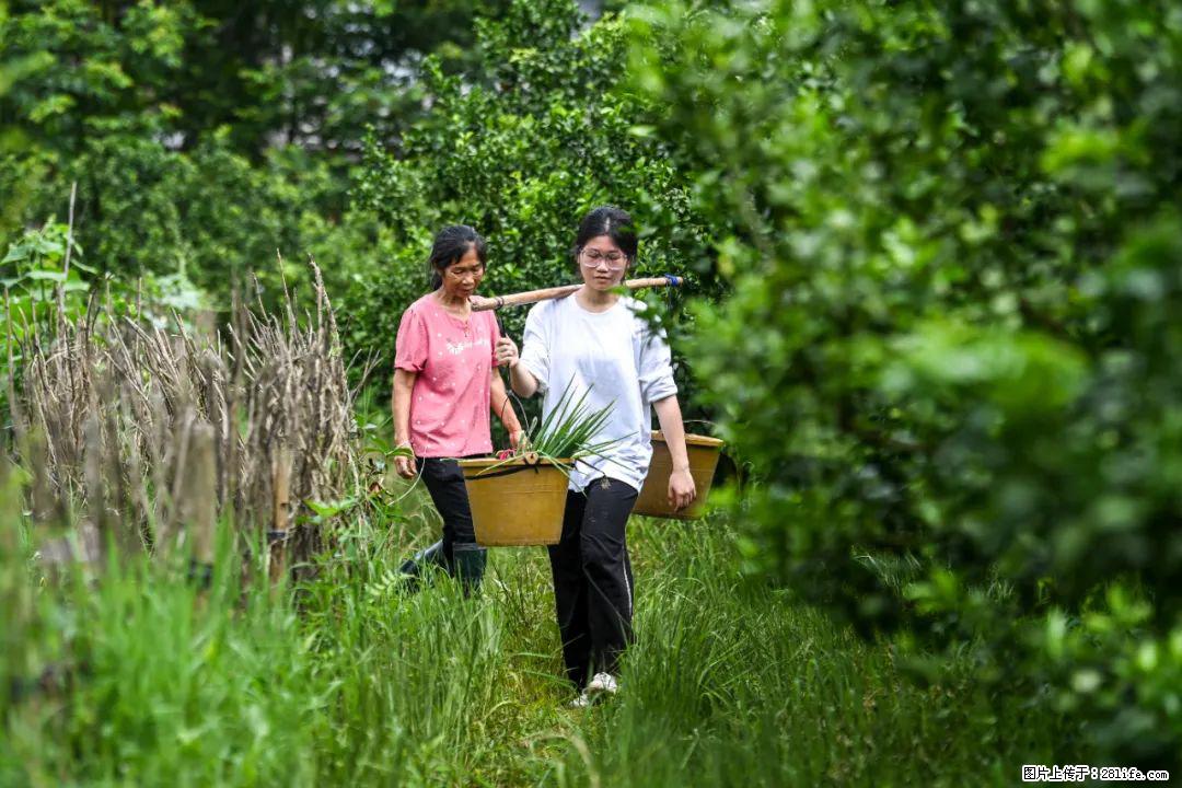 全网追的“扁担女孩”，找了一份暑假工，时薪12元 - 濮阳生活资讯 - 濮阳28生活网 puyang.28life.com