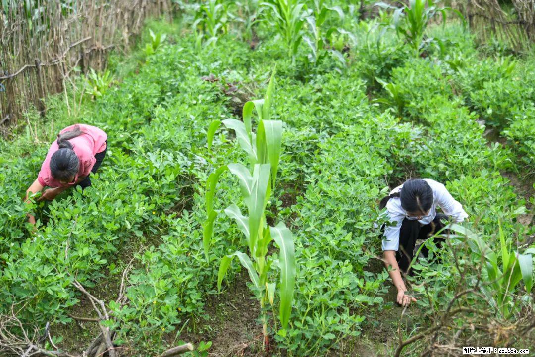 全网追的“扁担女孩”，找了一份暑假工，时薪12元 - 濮阳生活资讯 - 濮阳28生活网 puyang.28life.com