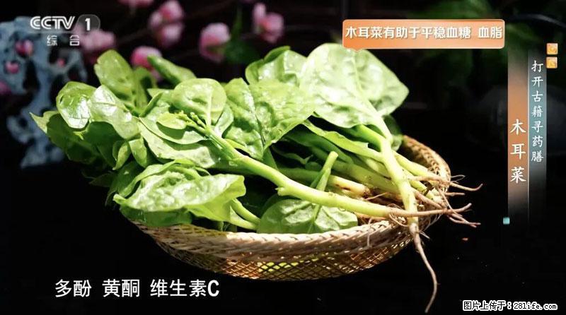 比牛奶补钙还厉害！凉血解毒、稳血糖...这菜冬天必吃，很多人却当草 - 濮阳生活资讯 - 濮阳28生活网 puyang.28life.com