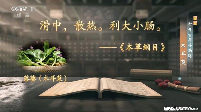 比牛奶补钙还厉害！凉血解毒、稳血糖...这菜冬天必吃，很多人却当草 - 濮阳生活资讯 - 濮阳28生活网 puyang.28life.com