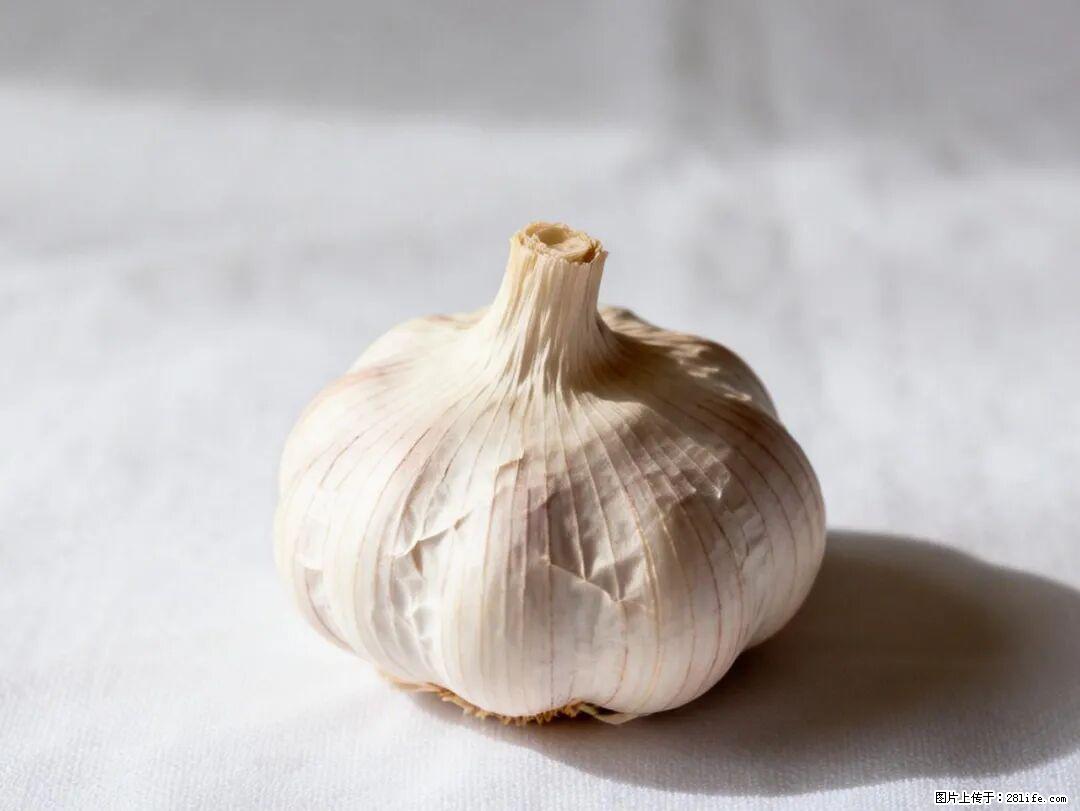 关于大蒜,除了“天然抗生素”,这4个谣言更该警惕! - 濮阳生活资讯 - 濮阳28生活网 puyang.28life.com
