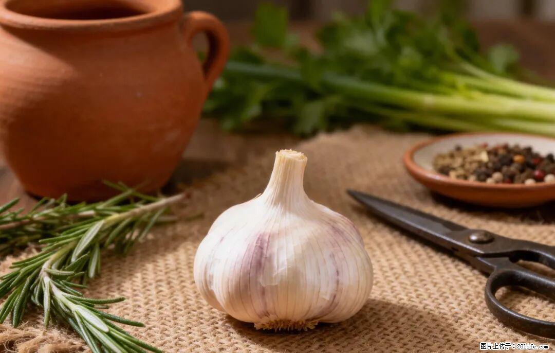 关于大蒜,除了“天然抗生素”,这4个谣言更该警惕! - 濮阳生活资讯 - 濮阳28生活网 puyang.28life.com