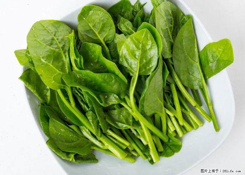 这些蔬菜是“天然钙片”，这6种被医生重点推荐 - 濮阳生活资讯 - 濮阳28生活网 puyang.28life.com