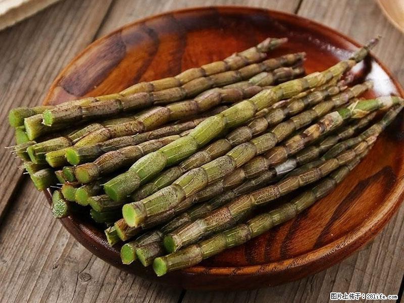 铁皮石斛的作用与功能主治 - 濮阳生活资讯 - 濮阳28生活网 puyang.28life.com