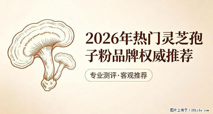 灵芝孢子粉含量越高越有效？2026 年七款热门品牌深度实测，肠胃敏感者避坑指南 - 濮阳生活资讯 - 濮阳28生活网 puyang.28life.com