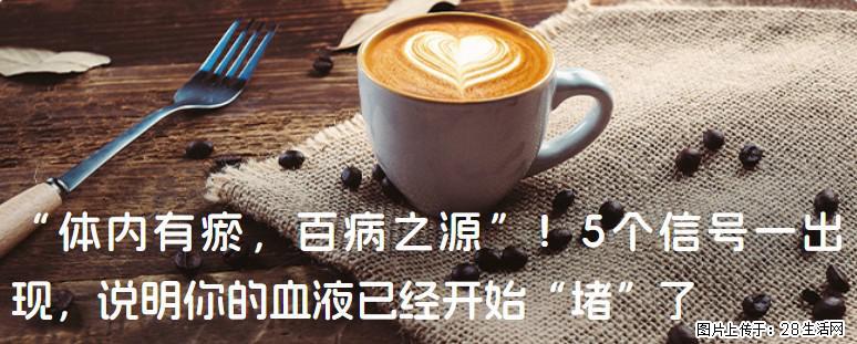 “体内有瘀,百病之源”!5个信号一出现,说明你的血液已经开始“堵”了 - 濮阳生活资讯 - 濮阳28生活网 puyang.28life.com